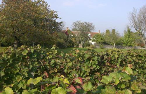 Demeure de caractère avec charme ancien et modernité contemporaine - FR-1-491-347 - Foto 29