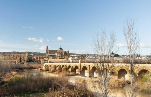 Limehome Cordoba Calle Pozanco - City Center - Foto 96