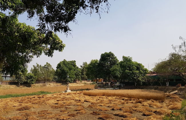 Koko's Farm - Foto 35