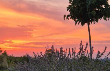 Rocca Verde - Foto 31