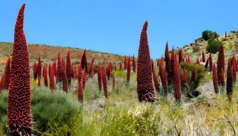 Casa Rural Kiko - Foto 2