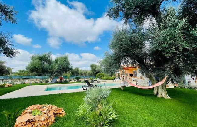 3724 All' Ombra Degli Ulivi by Barbarhouse - Foto 1