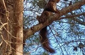 Casa Cosy - Photo 18