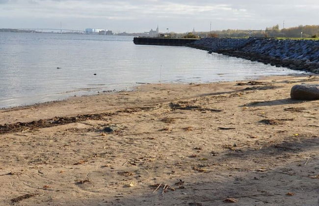 Holiday Home Sundtraum - Foto 29