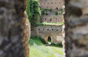 Ferienwohnung RheinSpaziert - Foto 34