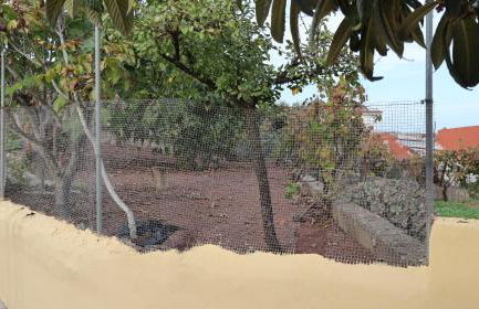 Casa rural Finca Don Amado, San Mateo - Foto 63