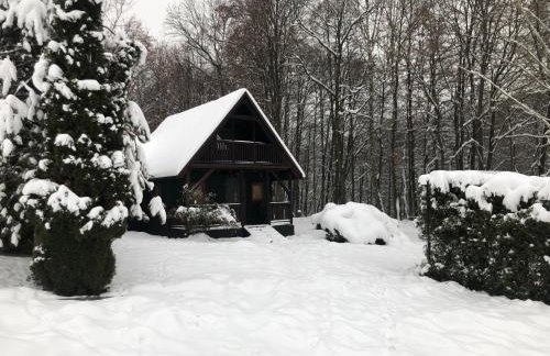 Domek Pod Lasem - Foto 27