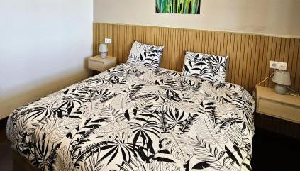 Moradia em Ponta do Sol 2 Quartos - Foto 5