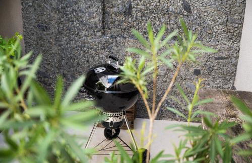 Rheinfreunde Bingen - Foto 14