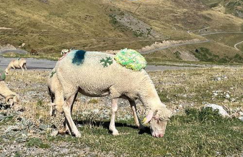 Chalet 6-8 pers St Lary Alt1700m -100mdespistes classé 4 étoiles - Photo 46