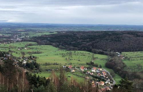Residenz Dabo Panorama in den Vogesen, 5 Zimmer, modern und großzügig, 2 Balkons, Terrasse, Garten - Foto 40
