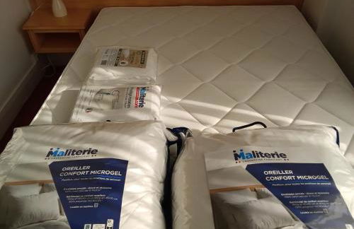 Appartement sur la route touristique du champagne - Foto 19