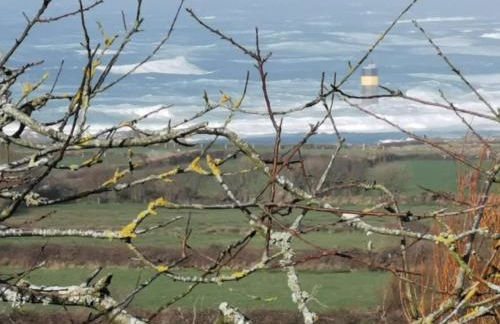 Clos Bel es Martin Sea View and campaign - Foto 37