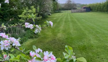 Gorgeous countryside cabin - Foto 3