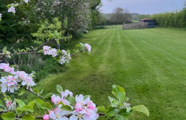 Gorgeous countryside cabin - Foto 3