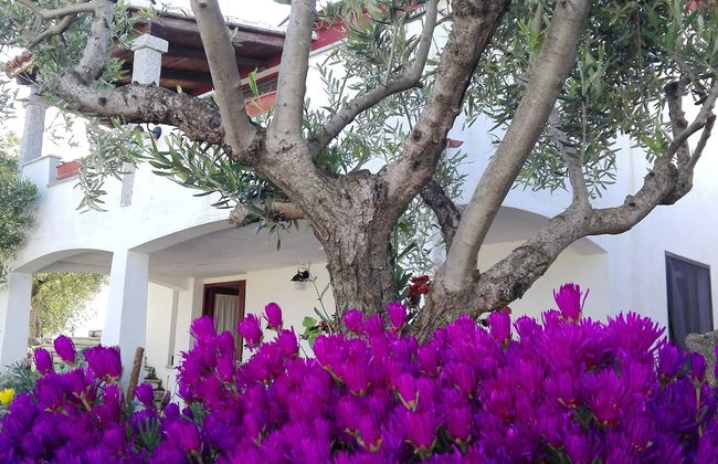 Agriturismo B&B Domo De Resteblas - Foto 39