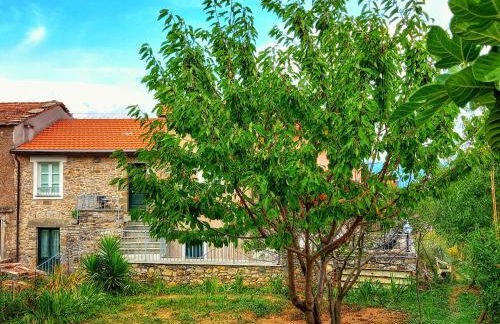 Casa Natale - Foto 30