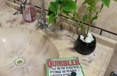 Aconchego do Harry Potter - Foto 20