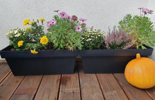 Apartament Słoneczny Air Conditioning - Photo 25