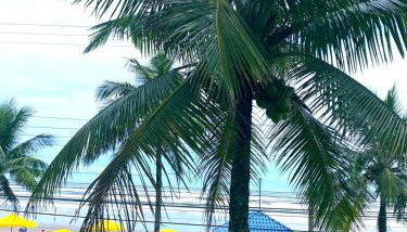 Apartamento beira mar Centro da cidade WiFi grátis - Foto 5