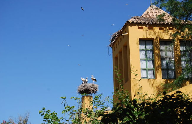 Vivienda Rural el Retorno - Foto 53