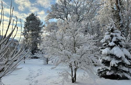 Toms Stuga Ferienwohnung - Foto 27