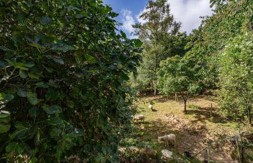 Casa da Penela - Foto 76