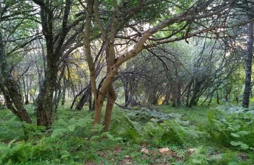 La casita de Duratón - Foto 29