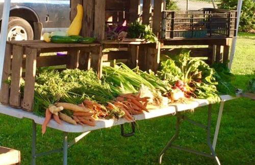 Zen in Narrowsburg Retreat near Town - Foto 73