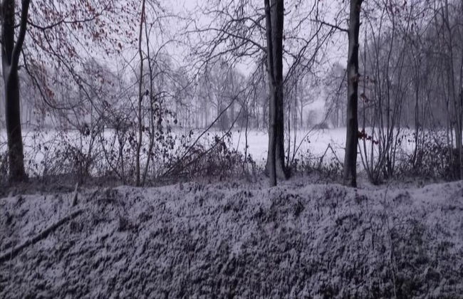 Holiday Home in Geesteren With Roof Terrace,garden Furniture - Photo 59