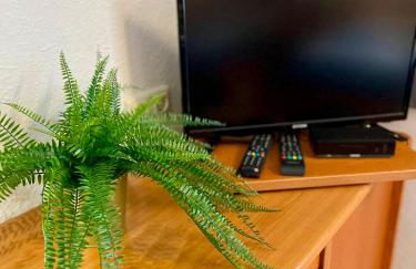 Schwanstetten bei Nürnberg, gemütliches Apartment mit Küche Bad TV - Foto 19