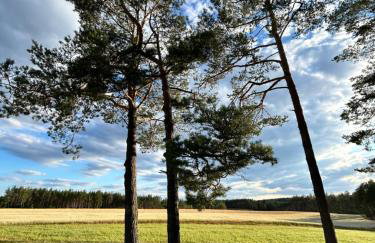 Domek lubiana180 WABI SABI w lesie jacuzzi sauna kominek - drewno w cenie pobytu - nad jeziorem Kaszuby pieski tylko do 10kg za dodatkową opłatą - Foto 72