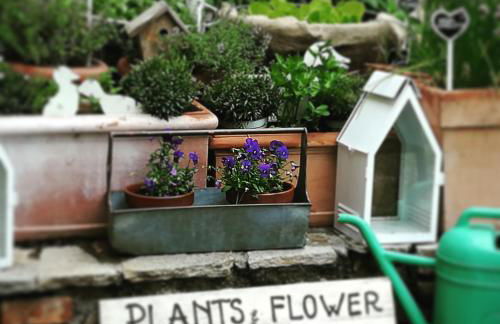 Podere Borgaruccio - Foto 68