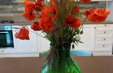 PaolOttaviA - Foto 76