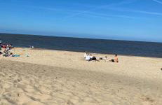 Mells Shells - Foto 11