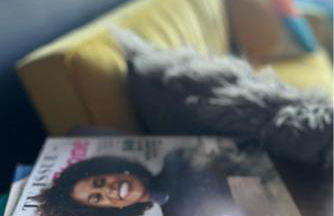 Friendly Suite Home Chicago - Foto 11