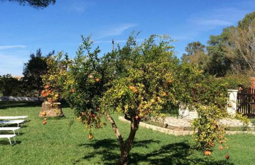 Yiouli Holiday Home - Foto 16