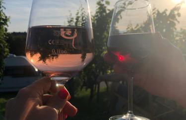 Aurum Apartment - Foto 28