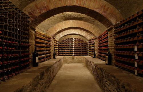 Fattoria Pogni - Foto 75