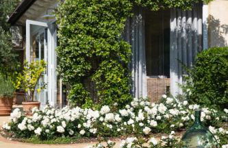 AGRITURISMO IL CARDO - Foto 21