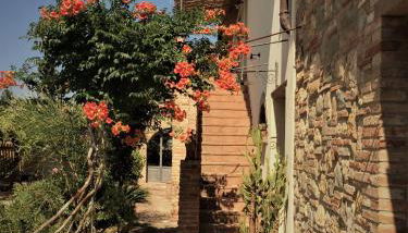 Poggio Magginga - Foto 5