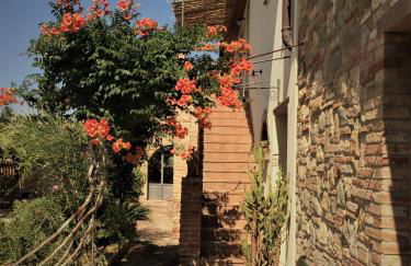 Poggio Magginga - Foto 5