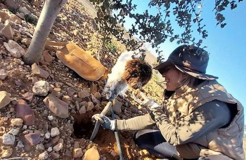 Aromas del Jiloca, Tierra de Trufas - Foto 28