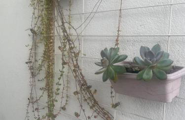 Kitnet Adorável na sedede Aracruz ES 1KM do centro individual wifi cozinha equipada - Foto 16