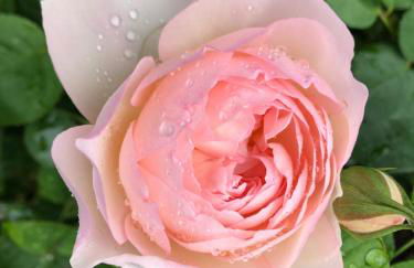 Ferienwohnung Will - Photo 29