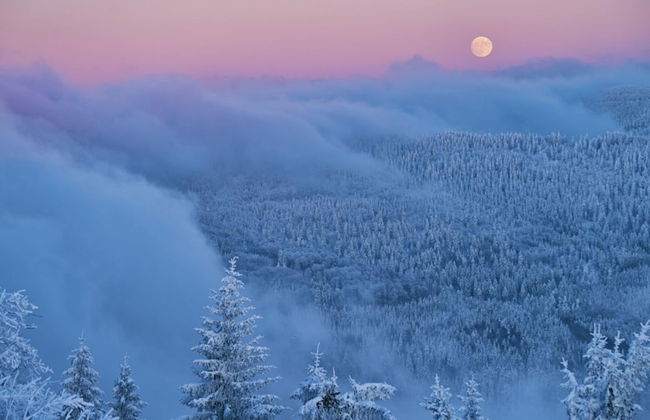 Apartment in Malsburg With Garden - Foto 28