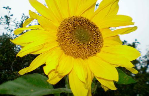 Ferienwohnung "Strandkorb" - Foto 5