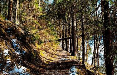 Chatka Mechatka - Foto 16