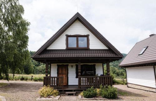 Dom Malowany domki - Foto 77