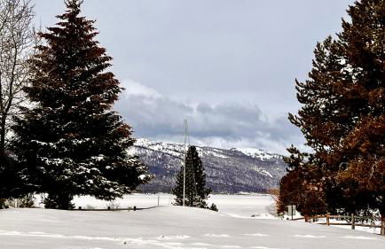 The Great Outdoors - Fantastic home - Lake Cascade - Game room - A/C - Lots of parking - Foto 28